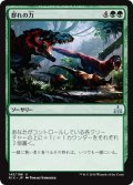 【JPN】群れの力/Strength of the Pack[RIX_145U]