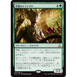 画像1: 【JPN】若葉のドライアド/Tendershoot Dryad[RIX_147R]