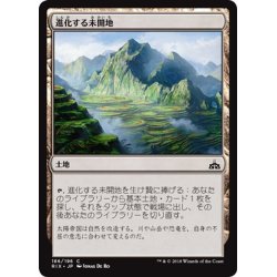 画像1: 【JPN】進化する未開地/Evolving Wilds[RIX_186C]