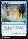 【JPN】可能性の揺らぎ/Shimmer of Possibility[MTG_RNA_051C]