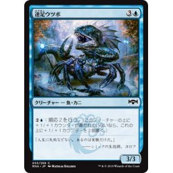 画像1: 【JPN】速足ウツボ/Skitter Eel[MTG_RNA_053C]