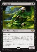 【JPN】死に到る霊/Pestilent Spirit[MTG_RNA_081R]