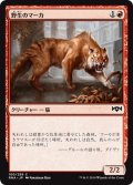 【JPN】野生のマーカ/Feral Maaka[MTG_RNA_100C]