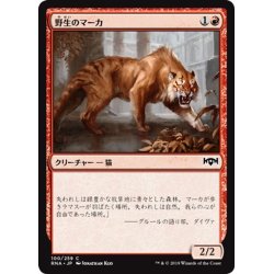 画像1: 【JPN】野生のマーカ/Feral Maaka[MTG_RNA_100C]