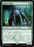 【JPN】成長室の守護者/Growth-Chamber Guardian[MTG_RNA_128R]