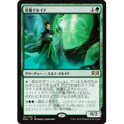 画像1: 【JPN】培養ドルイド/Incubation Druid[MTG_RNA_131R]