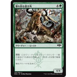 画像1: 【JPN】暴れ回る裂き角/Rampaging Rendhorn[MTG_RNA_135C]