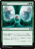 【JPN】再発生/Regenesis[MTG_RNA_136U]