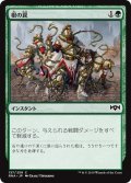 【JPN】根の罠/Root Snare[MTG_RNA_137C]