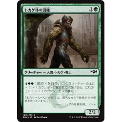 画像1: 【JPN】トカゲ体の混種/Sauroform Hybrid[MTG_RNA_140C]