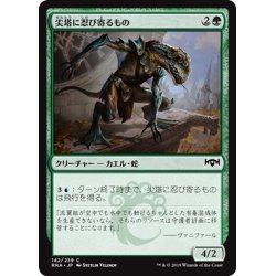 画像1: 【JPN】尖塔に忍び寄るもの/Steeple Creeper[MTG_RNA_142C]