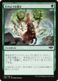 【JPN】石のような強さ/Stony Strength[MTG_RNA_143C]