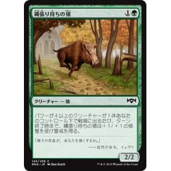 画像1: 【JPN】縄張り持ちの猪/Territorial Boar[MTG_RNA_145C]