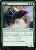 【JPN】破壊獣/Wrecking Beast[MTG_RNA_150C]