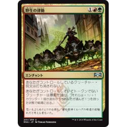 画像1: 【JPN】野生の律動/Rhythm of the Wild[MTG_RNA_201U]