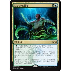 画像1: 【JPN】シミックの隆盛/Simic Ascendancy[MTG_RNA_207R]