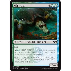 画像1: 【JPN】小走りワニ/Scuttlegator[MTG_RNA_218C]