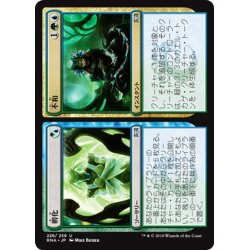 画像1: 【JPN】不和/孵化/Incongruity/Incubation[MTG_RNA_226U]