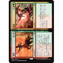 画像1: 【JPN】強撃/脅威/Thrash/Threat[MTG_RNA_229R]