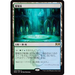 画像1: 【JPN】繁殖池/Breeding Pool[MTG_RNA_246R]