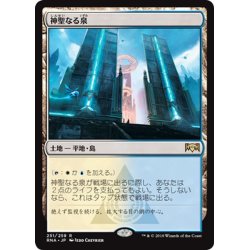 画像1: 【JPN】神聖なる泉/Hallowed Fountain[MTG_RNA_251R]