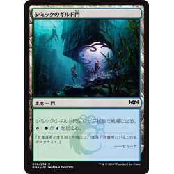 画像1: 【JPN】シミックのギルド門/Simic Guildgate[MTG_RNA_258C]