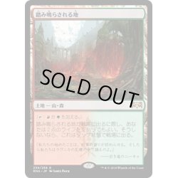 画像1: 【JPN】踏み鳴らされる地/Stomping Ground[MTG_RNA_259R]