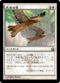 【JPN】天空の目/Eyes in the Skies[MTG_RTR_010C]