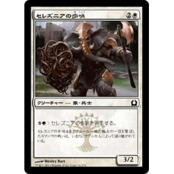 画像1: 【JPN】セレズニアの歩哨/Selesnya Sentry[MTG_RTR_021C]