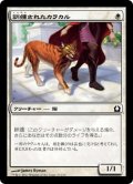 【JPN】訓練されたカラカル/Trained Caracal[MTG_RTR_027C]