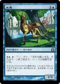 【JPN】水馬/Aquus Steed[MTG_RTR_029U]