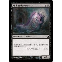 【JPN】地下墓地のナメクジ/Catacomb Slug[MTG_RTR_058C]