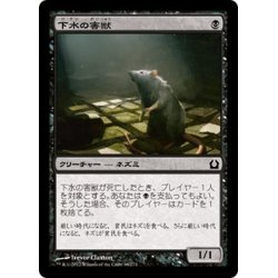 画像1: 【JPN】下水の害獣/Drainpipe Vermin[MTG_RTR_066C]