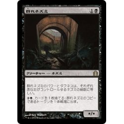 画像1: 【JPN】群れネズミ/Pack Rat[MTG_RTR_073R]