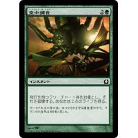 【JPN】空中捕食/Aerial Predation[MTG_RTR_113C]