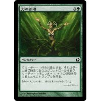 【JPN】力の合唱/Chorus of Might[MTG_RTR_119C]