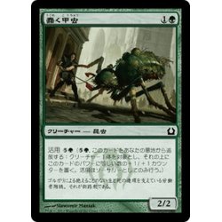 画像1: 【JPN】蠢く甲虫/Drudge Beetle[MTG_RTR_122C]