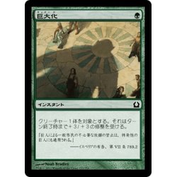 画像1: 【JPN】巨大化/Giant Growth[MTG_RTR_125C]