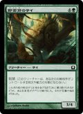 【JPN】野面背のサイ/Rubbleback Rhino[MTG_RTR_132C]