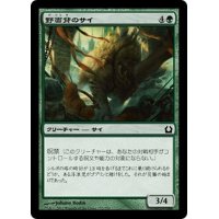 【JPN】野面背のサイ/Rubbleback Rhino[MTG_RTR_132C]