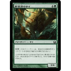 画像1: 【JPN】野面背のサイ/Rubbleback Rhino[MTG_RTR_132C]