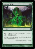 【JPN】スライム成形/Slime Molding[MTG_RTR_135U]