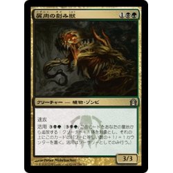 画像1: 【JPN】屑肉の刻み獣/Dreg Mangler[MTG_RTR_158U]