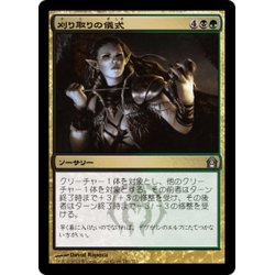 画像1: 【JPN】刈り取りの儀式/Rites of Reaping[MTG_RTR_191U]