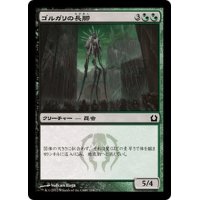 【JPN】ゴルガリの長脚/Golgari Longlegs[MTG_RTR_216C]