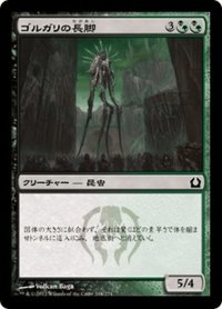 【JPN】ゴルガリの長脚/Golgari Longlegs[MTG_RTR_216C]