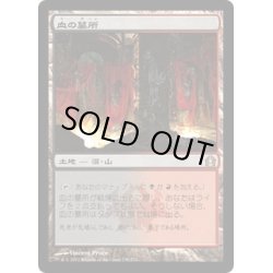 画像1: 【JPN】血の墓所/Blood Crypt[MTG_RTR_238R]