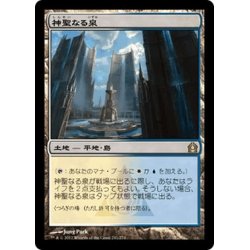 画像1: 【JPN】神聖なる泉/Hallowed Fountain[MTG_RTR_241R]