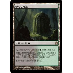 画像1: 【JPN】草むした墓/Overgrown Tomb[MTG_RTR_243R]