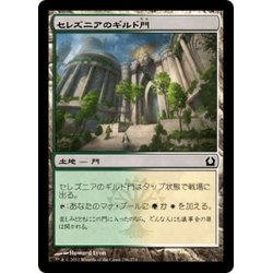 画像1: 【JPN】セレズニアのギルド門/Selesnya Guildgate[MTG_RTR_246C]